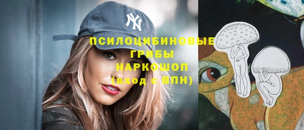 дмт Армянск