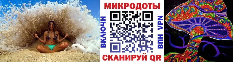 что такое   Козьмодемьянск  Псилоцибиновые грибы MAGIC MUSHROOMS 